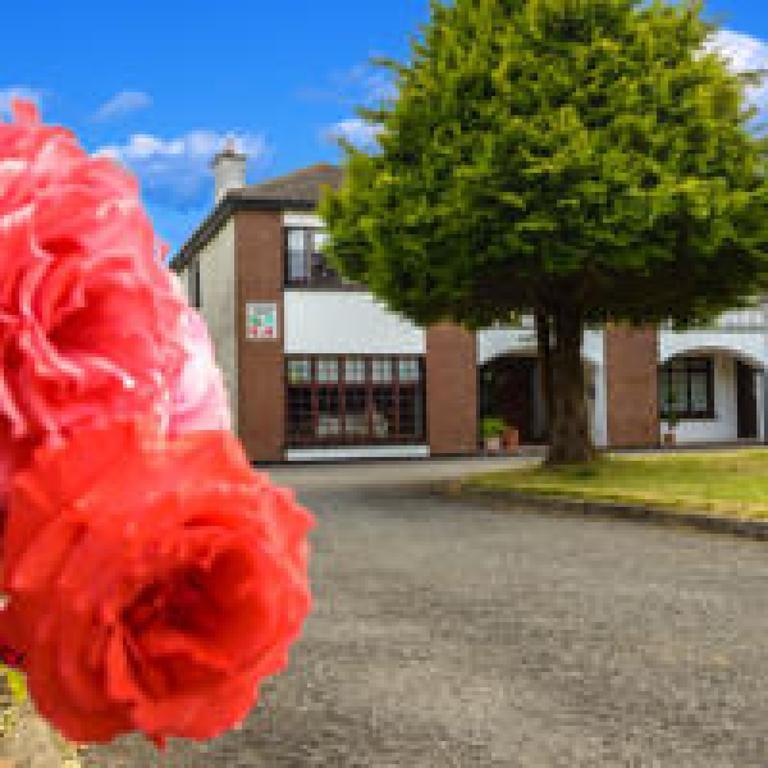 Killowen House B&B Drogheda Exterior foto